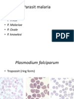 Asistensi Parasit Malaria Dan Filaria