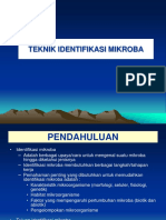 Identifikasi Mikroba