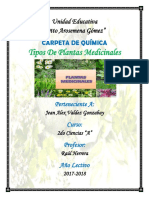 PLANTAS MEDICINALES MINI MONOGRAFIA.docx