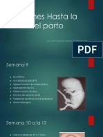 Tercer Mes Hasta La Fecha Del Parto