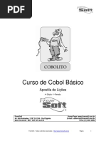Cobol Basico 