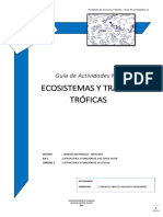 1°-Guía-Actividades-12-Ecosistema