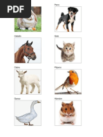 Animales que vuelan, nadan y caminan | PDF