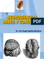 1 Neurociencia Bases y Conceptos