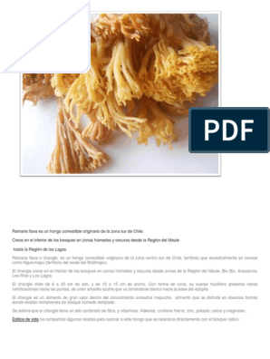 Changle | PDF