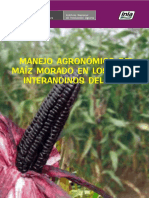 313908946-Manejo-Integrado-de-Cultivo-de-Maiz-Morado-Inia.pdf