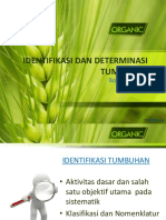 Determinasi Tumbuhan