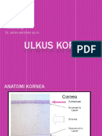 54936949-Ulkus-kornea.pptx