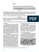 BAKTERI SALMONELLA TYPHI DANDEMAMTIFOID X.pdf