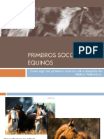 Primeiros Socorros em Equinos.pptx