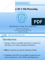 10. C File Processings.pptx