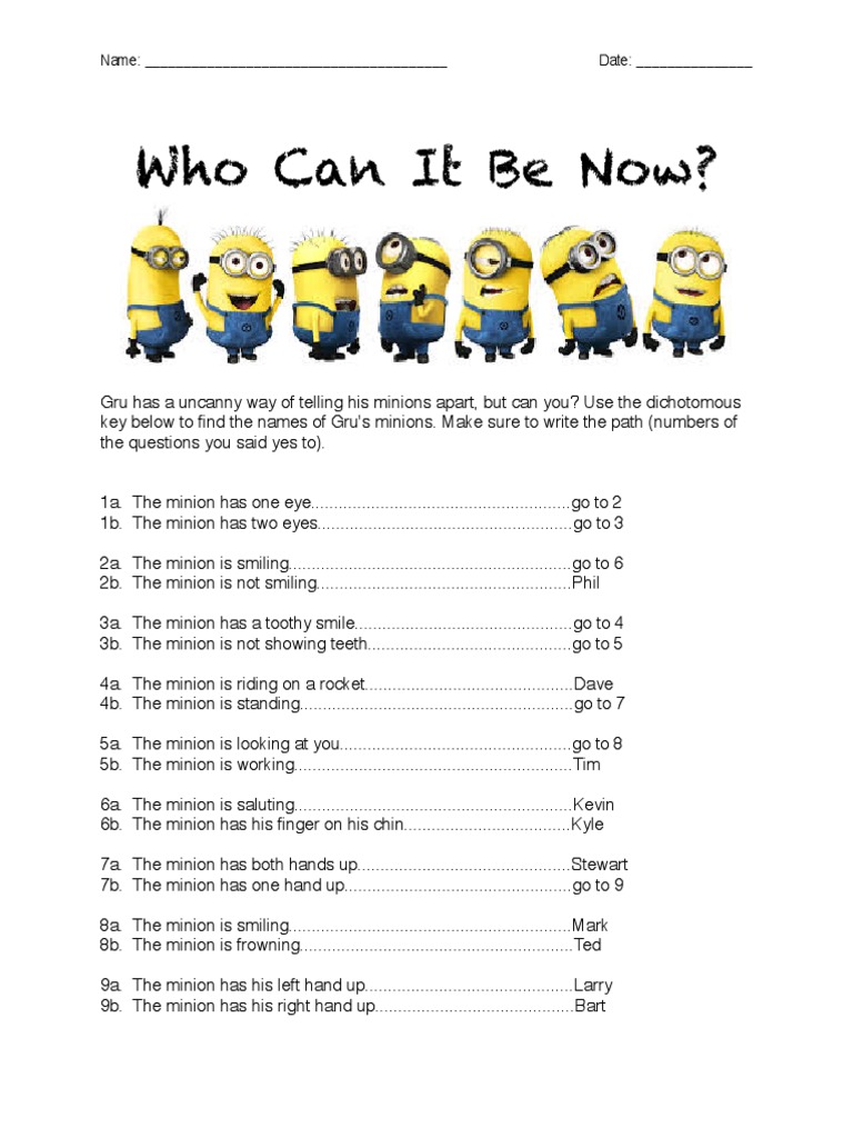 Minion Dichotomous Key Worksheet | PDF