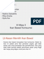 Ikan Bawal Komsumsi Kelas XI Mipa 3