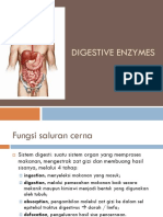 Digestive Enzymes-Tadulako (Arta)