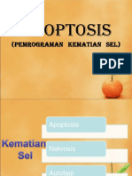 Apoptosis