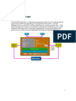 sap_functionality_informatica.pdf