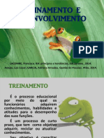 07- TREINAMENTO E DESENVOLVIMENTO.pdf