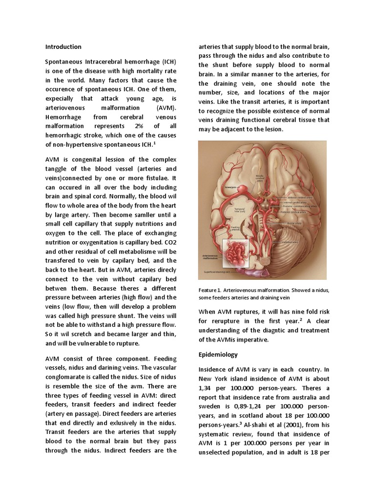 Understanding Cerebral AVM and Risks | PDF | Angiography | Vein