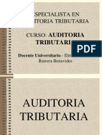 Auditoria Tributaria - Dic 2014 Feb 2015 Eobb