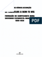 ASSUNCAO Matthias Rohrig de Caboclos A Bem Te Vis Formacao Do Campesinato Uma Sociedade Escravista 26 47 PDF
