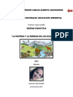 Guzman Carla Anabel - La Materia y La Energia en Los Ecosistemas. 3er Año de Nivel Inicial Leguizamon.