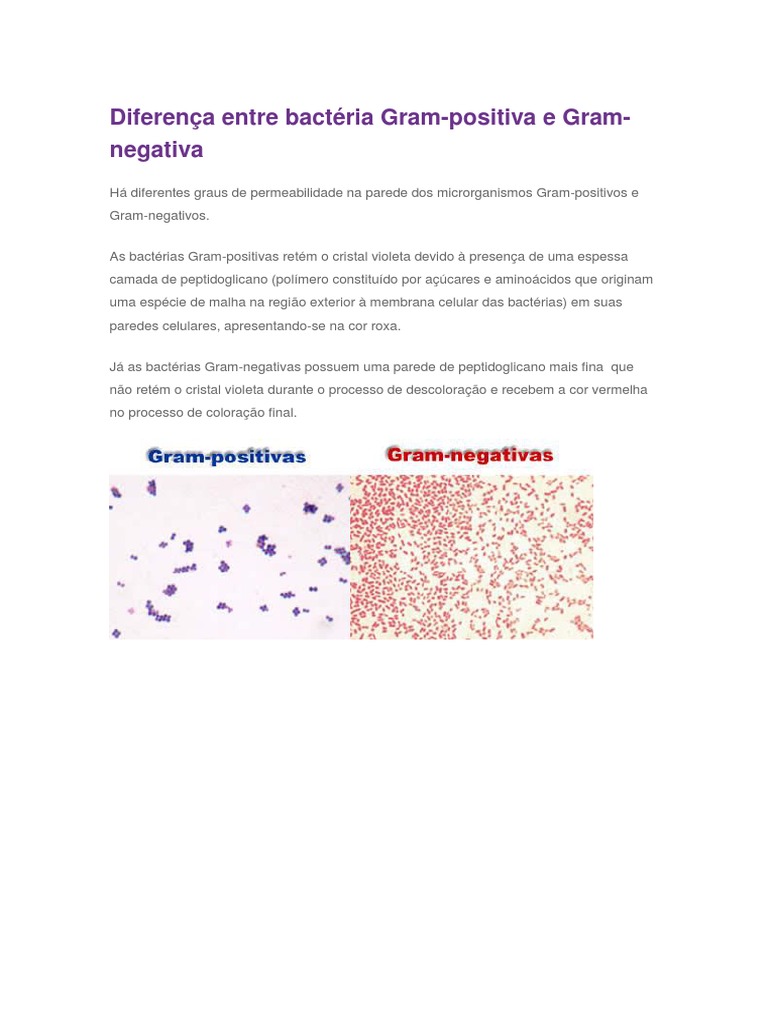 Diferença entre Bactérias Gram+ e Gram- | PDF