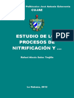 Estudio de Los Procesos de Nitr - Salas Trujillo, Rafael Alexis
