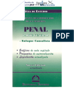 Derecho Penal Parte General (Causalista).pdf