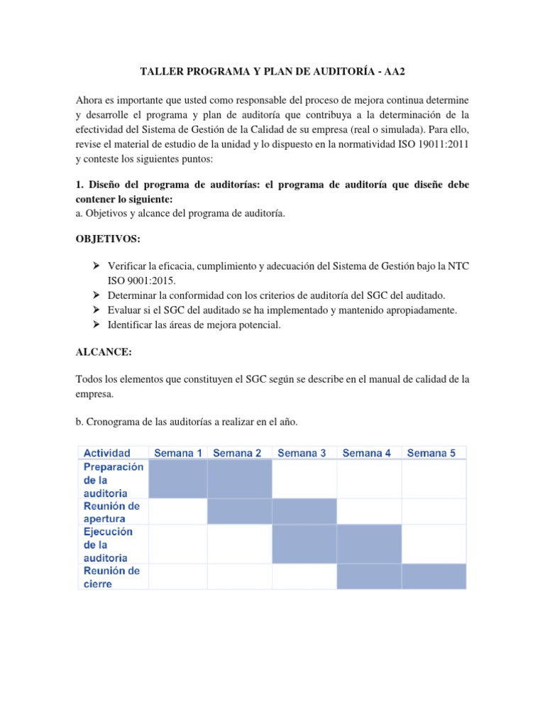 Taller Programa y Plan de Auditoría | PDF | Contralor | Planificación