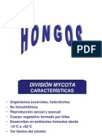 HONGOS.pdf