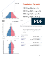 Population Pyramid