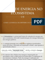 Fluxo de energia no ecossistema