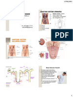 0 Batu Saluran Kemih