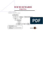 Esquema Juicio Sumario