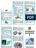 leaflet ALZAIMER.doc