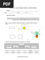 Prueba de Fotosintesis 2018