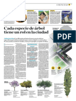 Cada Especie de Árbol Tiene Un Rol en La Ciudad