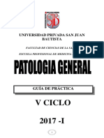 G. P. PATOLOGIA GENERAL 2017-I.pdf