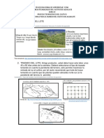 Manejo Ambiental Del Aguacate