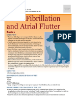 Atrial Fibrillation and Atrial Flutter