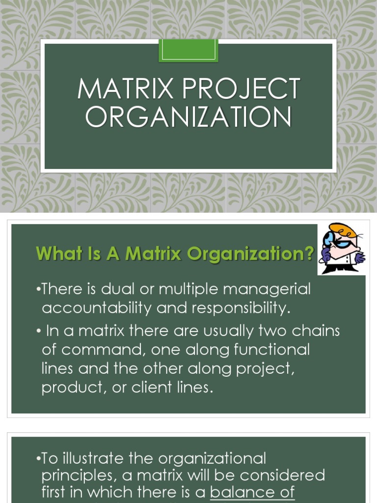 Matrix Project Organization | PDF | Project Management | Matrix