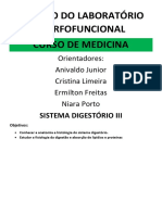 AES 2 06 - Sistema Digestorio 3 e Metabolismo de Lipídios e Proteínas - Professor