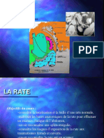 La Rate