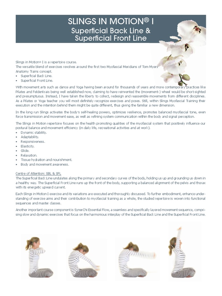 Art-Of-motion 03 Slings in Motion 1 2015 Eng Web 01 | PDF | Pilates