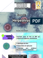 Tema 15 Herpesvirus