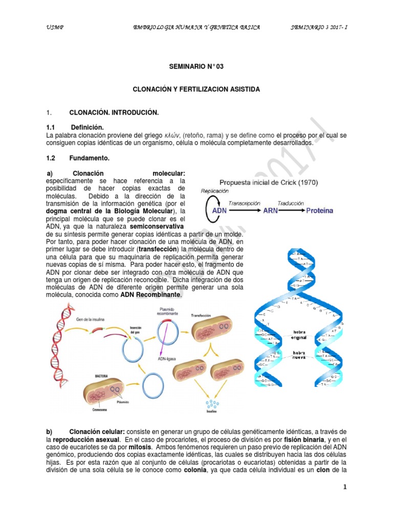 SEMINARIO3.pdf