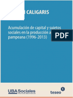 Acumulación de Capital y Sujetos Sociales en La Producción Agraria Pampeana 1996 2013 1509706969 PDF