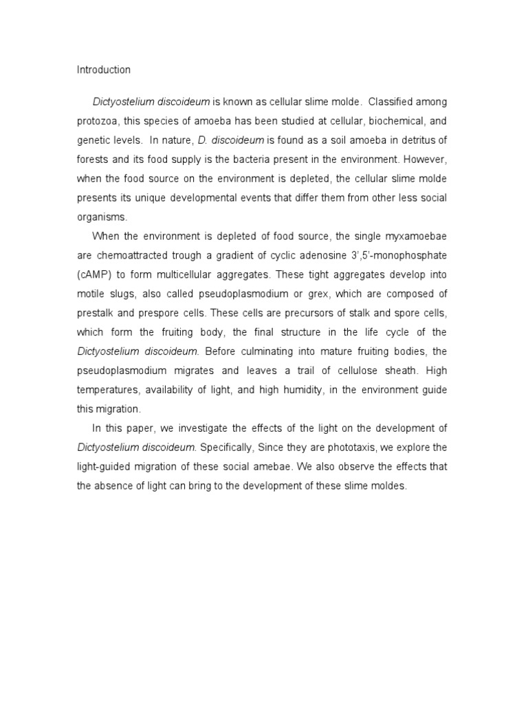 Dictyostelium Discoideum Paper | PDF
