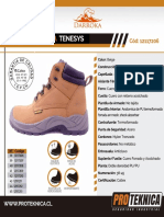 1Ficha-Botin-Tenesys