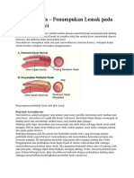 PENGURANG RISIKO ATEROSKLEROSIS